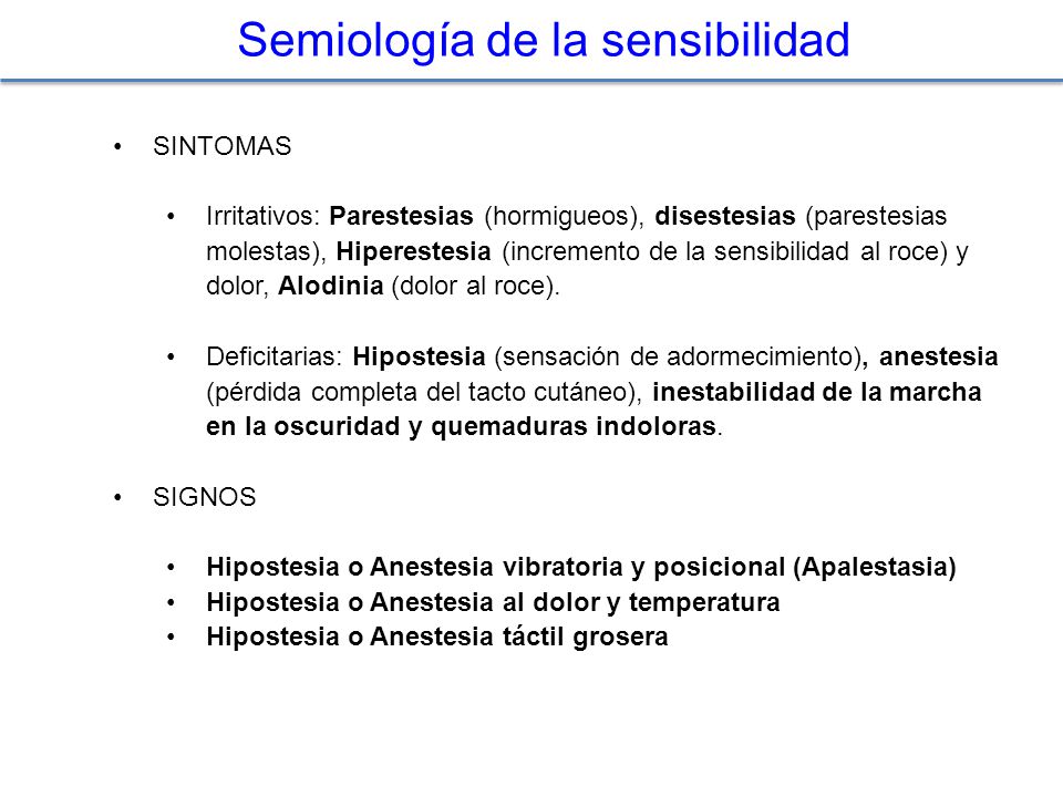 Semiología de la sensibilidad