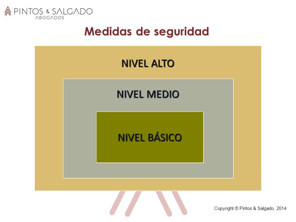 Medidas de seguridad NIVEL ALTO NIVEL MEDIO ldkfñglkd NIVEL BÁSICO