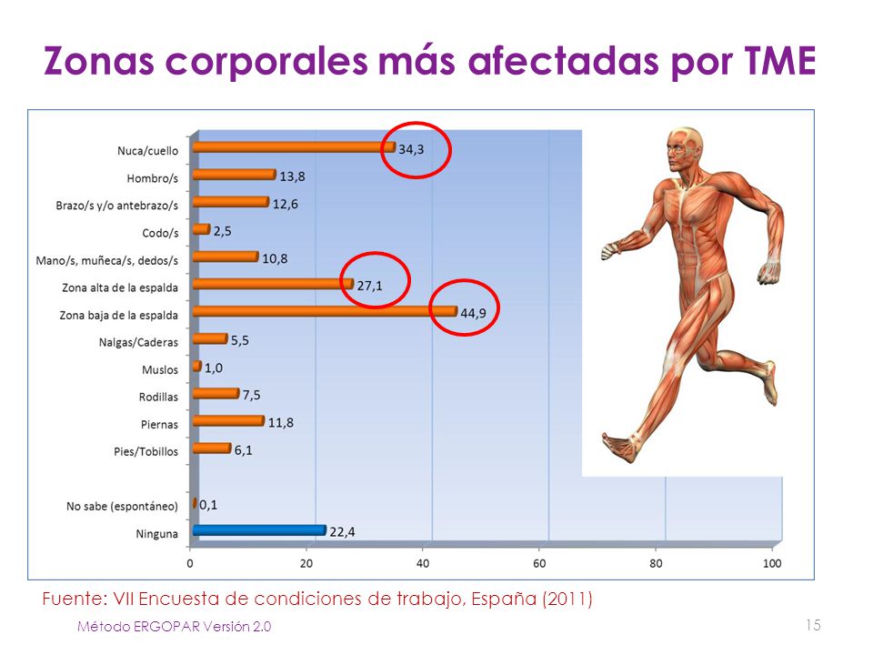 Zonas corporales más afectadas por TME