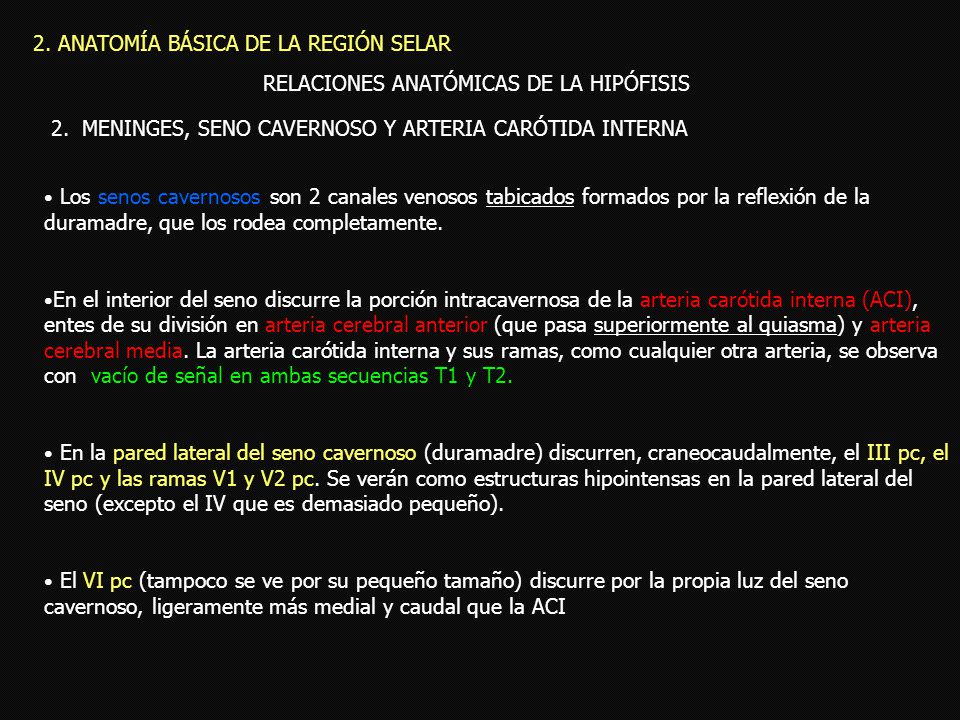 2. ANATOMÍA BÁSICA DE LA REGIÓN SELAR