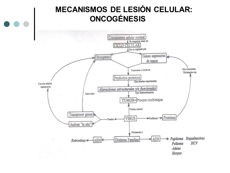 MECANISMOS DE LESIÓN CELULAR: ONCOGÉNESIS