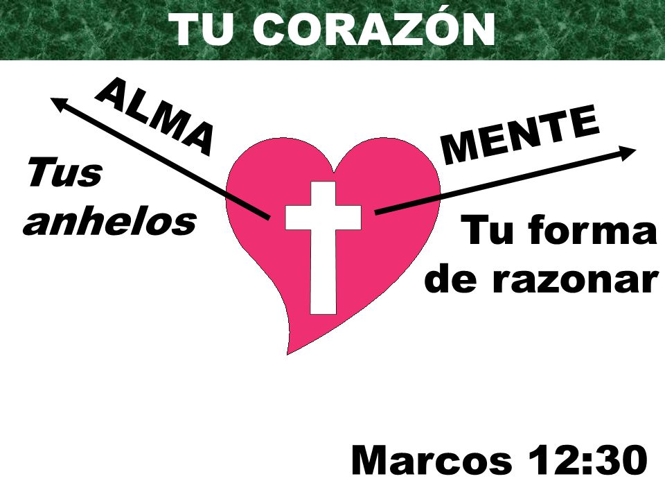 TU CORAZÓN ALMA MENTE Tus anhelos Tu forma de razonar Marcos 12:30