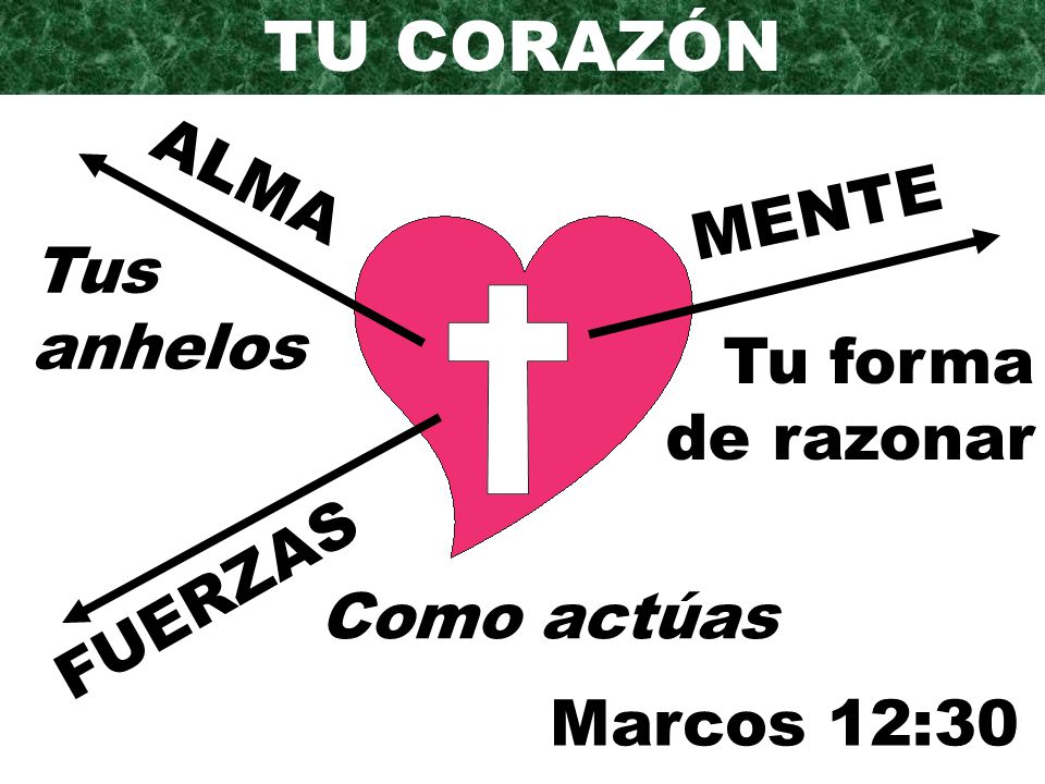 TU CORAZÓN ALMA MENTE Tus anhelos Tu forma de razonar FUERZAS