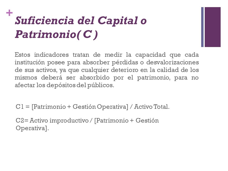 Suficiencia del Capital o Patrimonio( C )