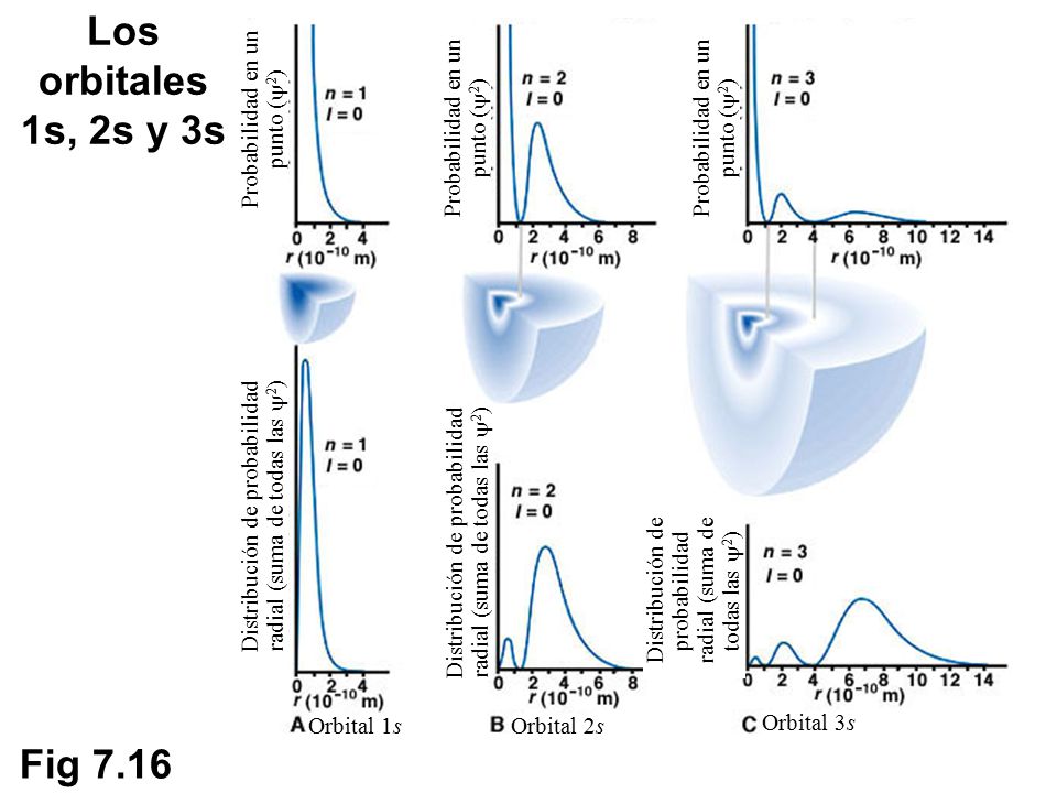Los orbitales 1s, 2s y 3s Fig 7.16 Probabilidad en un punto (2)