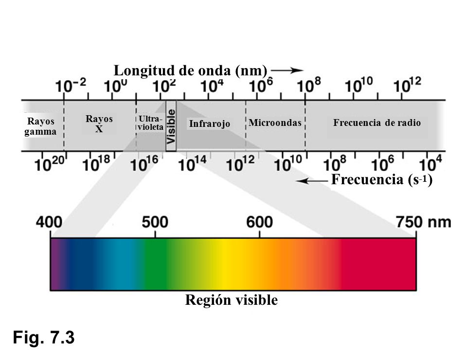 Fig. 7.3 Longitud de onda (nm) Frecuencia (s-1) Región visible