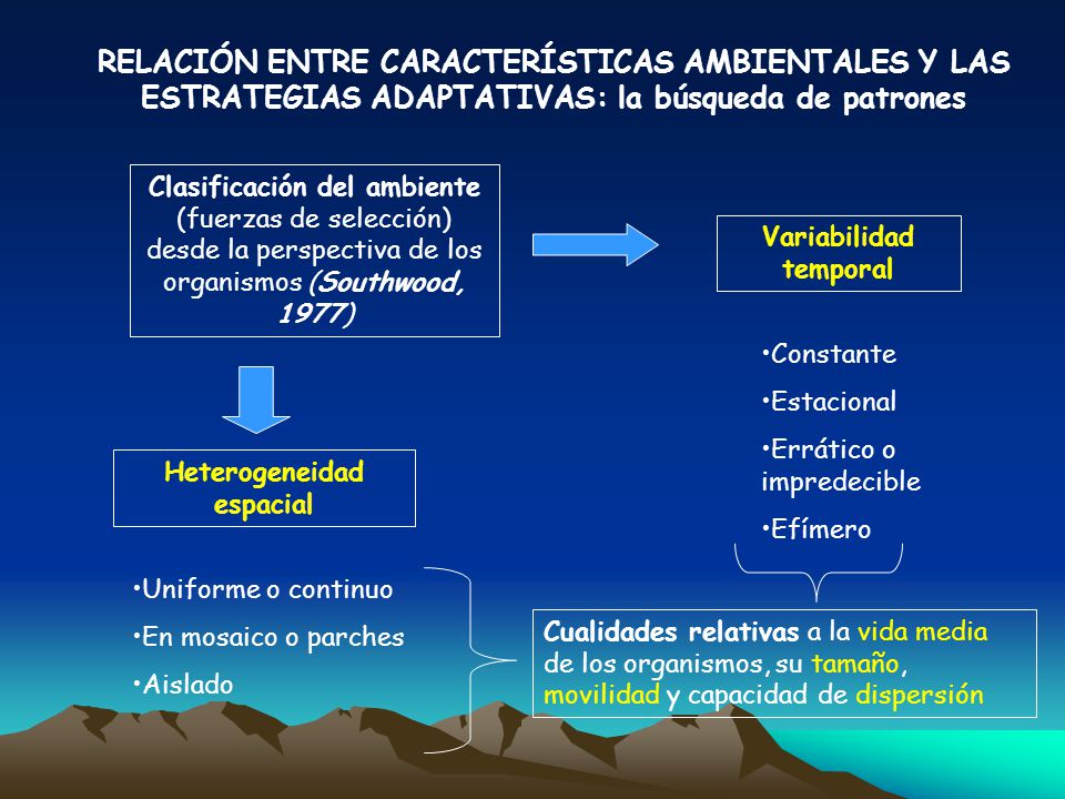 Variabilidad temporal Heterogeneidad espacial