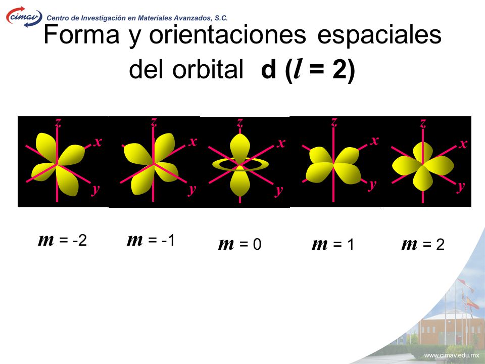 Forma y orientaciones espaciales del orbital d (l = 2)