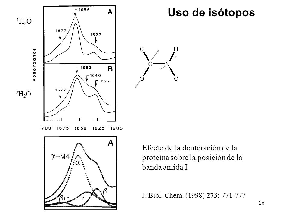 Uso de isótopos 1H2O. 2H2O. Efecto de la deuteración de la proteína sobre la posición de la banda amida I.
