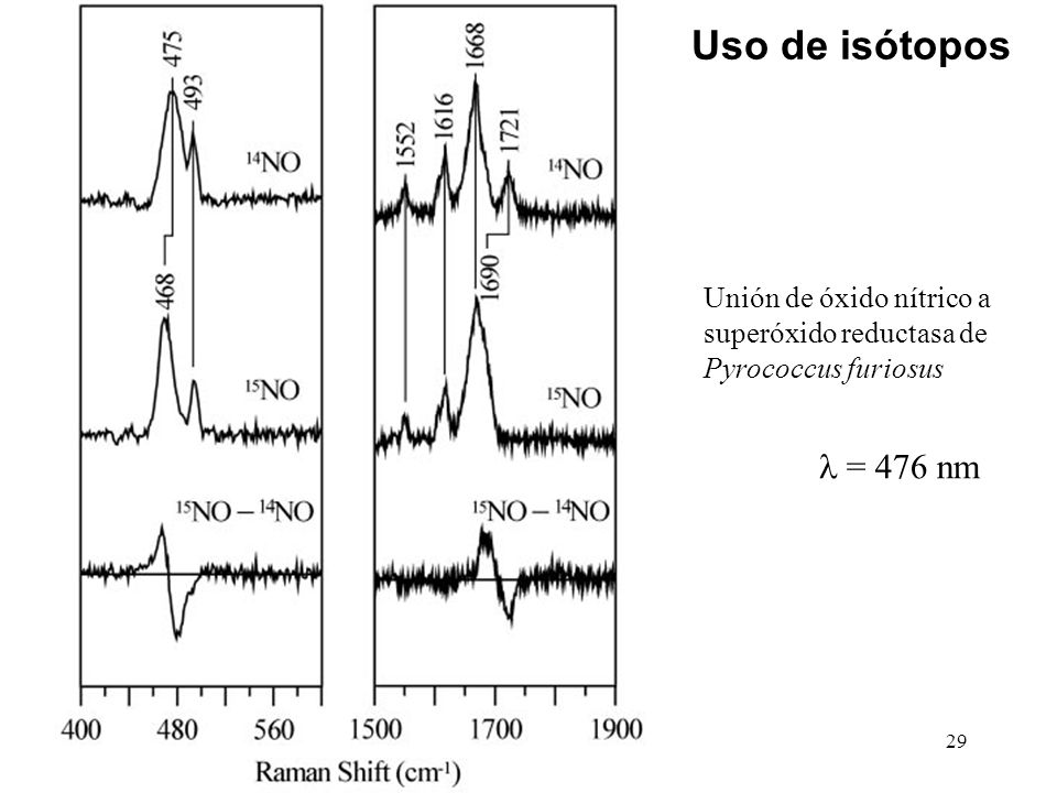 Uso de isótopos Unión de óxido nítrico a superóxido reductasa de Pyrococcus furiosus l = 476 nm