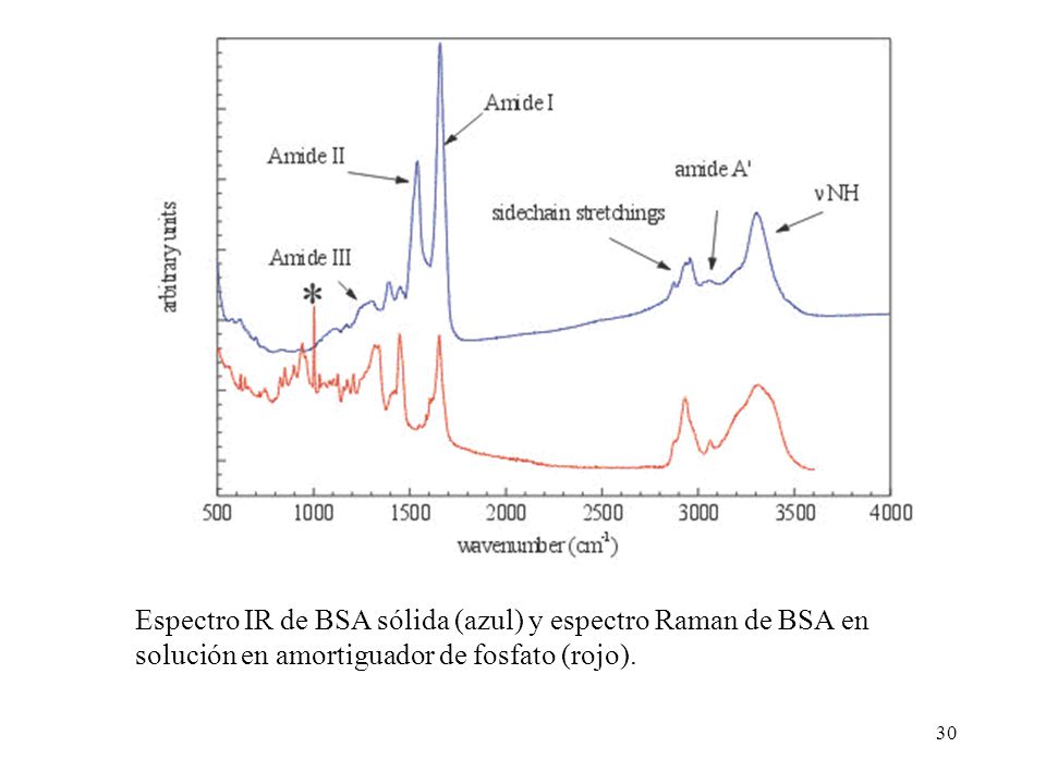 Espectro IR de BSA sólida (azul) y espectro Raman de BSA en solución en amortiguador de fosfato (rojo).