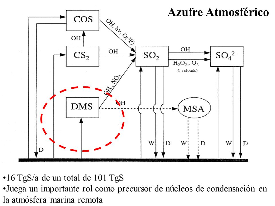 Azufre Atmosférico 16 TgS/a de un total de 101 TgS