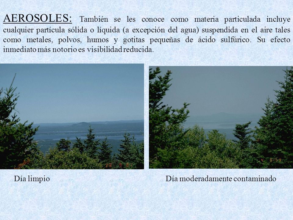 AEROSOLES: También se les conoce como materia particulada incluye cualquier partícula sólida o líquida (a excepción del agua) suspendida en el aire tales como metales, polvos, humos y gotitas pequeñas de ácido sulfúrico. Su efecto inmediato más notorio es visibilidad reducida.