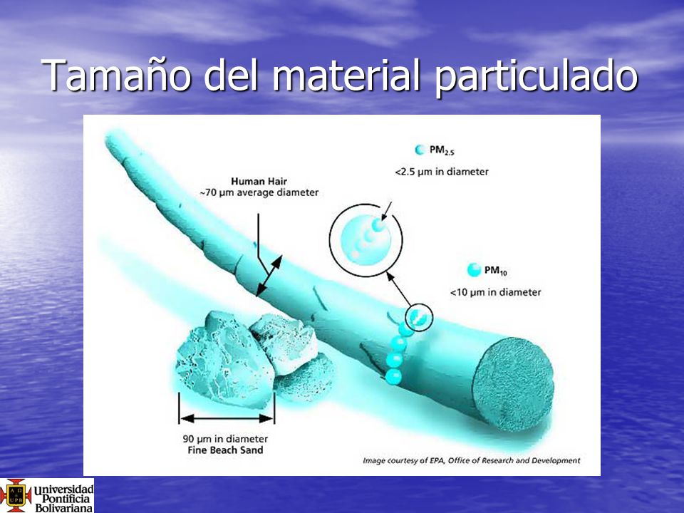 Tamaño del material particulado