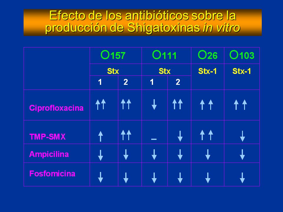 Efecto de los antibióticos sobre la producción de Shigatoxinas in vitro