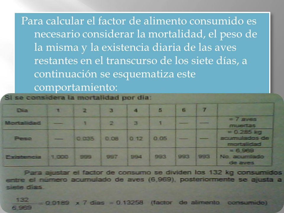 Para calcular el factor de alimento consumido es necesario considerar la mortalidad, el peso de la misma y la existencia diaria de las aves restantes en el transcurso de los siete días, a continuación se esquematiza este comportamiento: