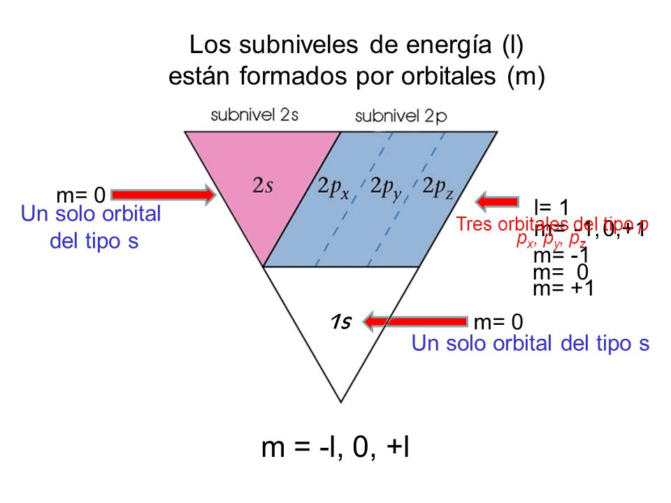 Los subniveles de energía (l) están formados por orbitales (m)