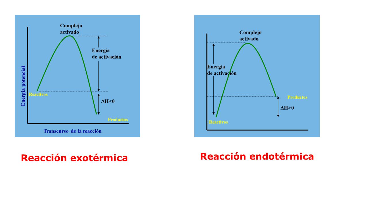 Reacción exotérmica Reacción endotérmica