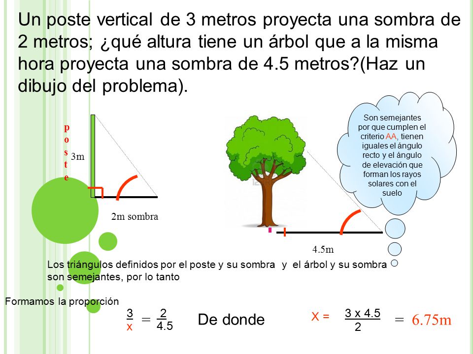Un poste vertical de 3 metros proyecta una sombra de 2 metros; ¿qué altura tiene un árbol que a la misma hora proyecta una sombra de 4.5 metros (Haz un dibujo del problema).