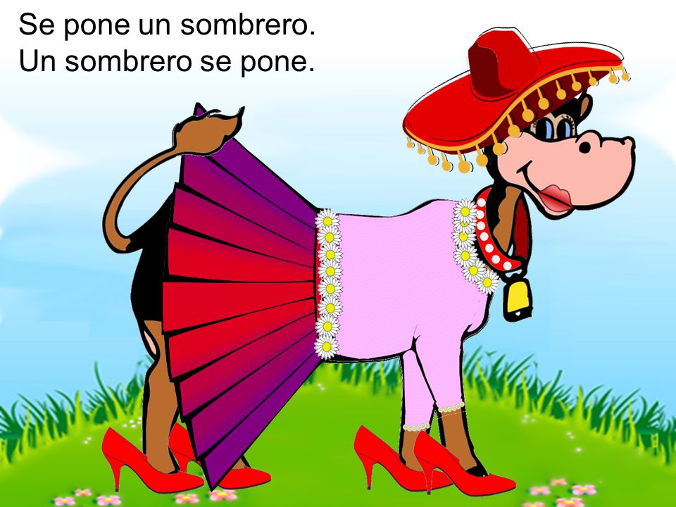 Se pone un sombrero. Un sombrero se pone.