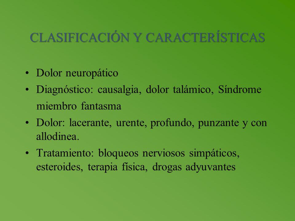 CLASIFICACIÓN Y CARACTERÍSTICAS