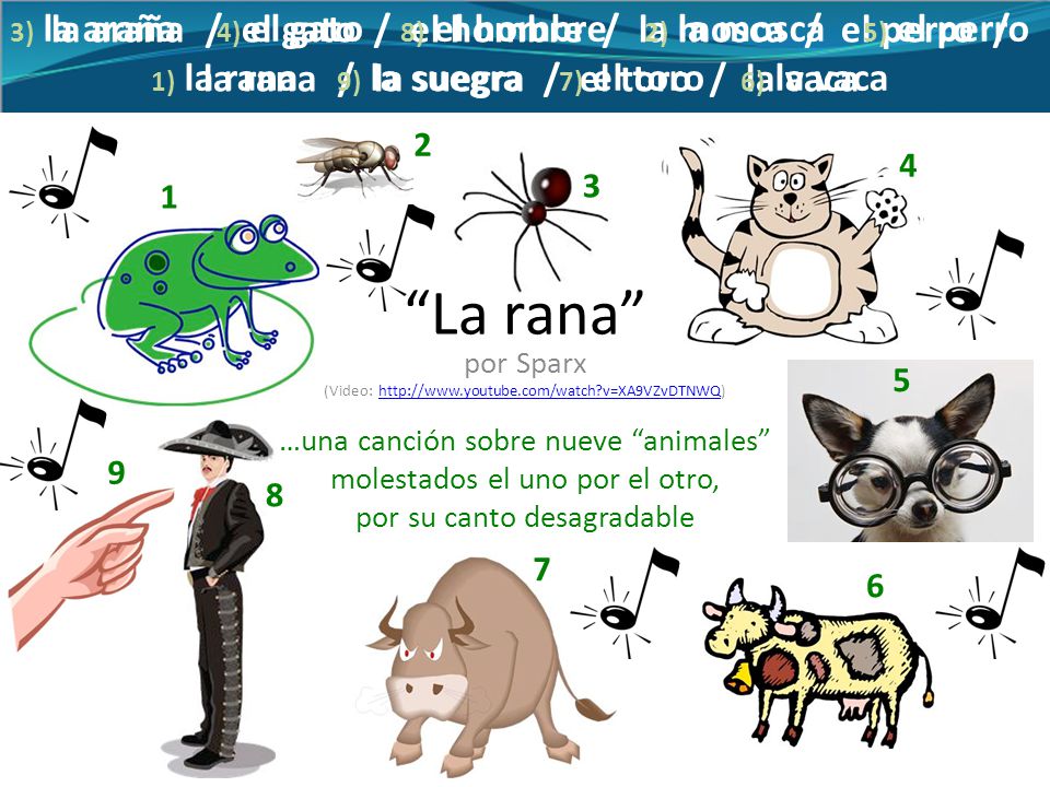 La rana la araña / el gato / el hombre / la mosca / el perro /