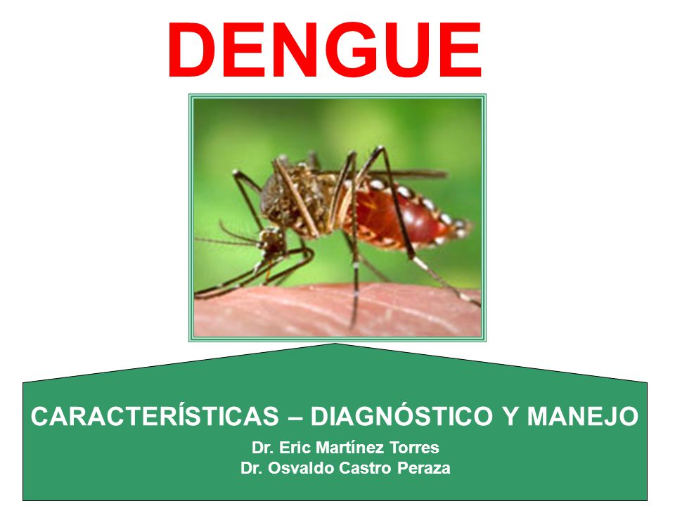 DENGUE CARACTERÍSTICAS – DIAGNÓSTICO Y MANEJO Dr. Eric Martínez Torres