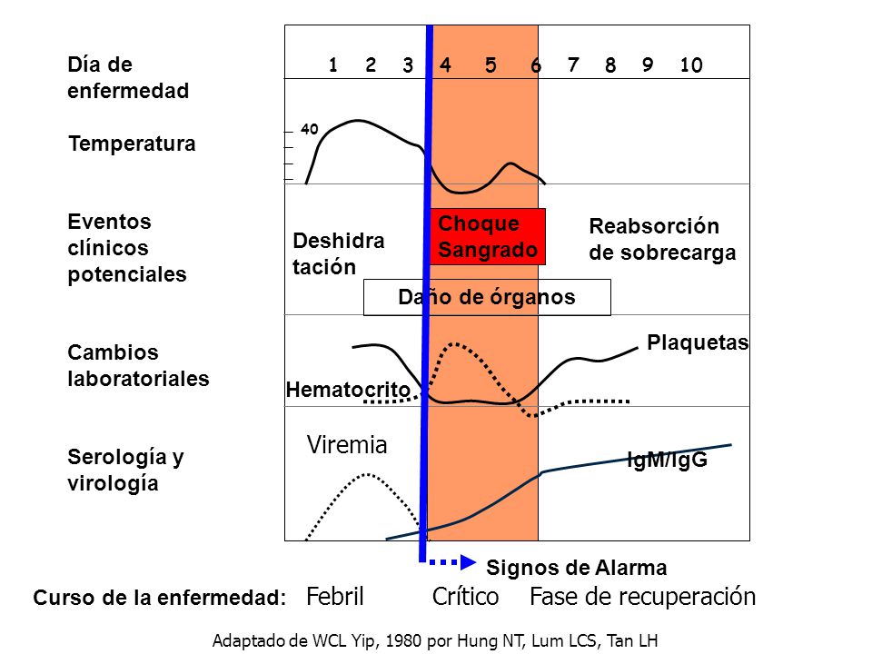 Adaptado de WCL Yip, 1980 por Hung NT, Lum LCS, Tan LH