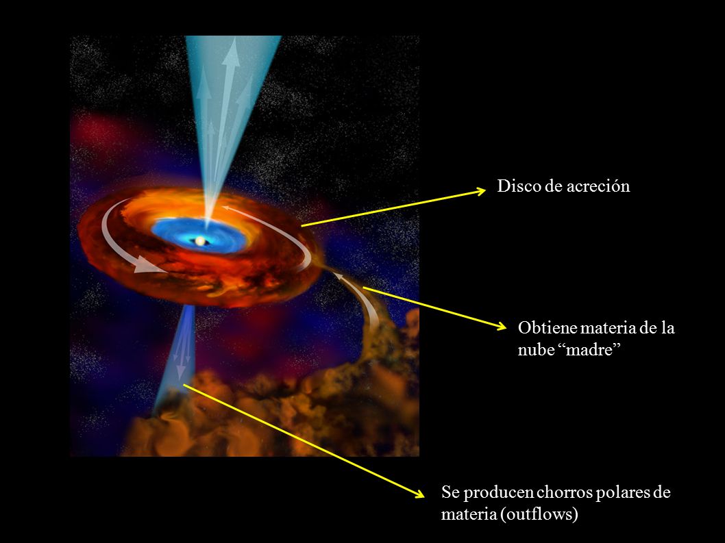 Disco de acreción Obtiene materia de la. nube madre Se producen chorros polares de.