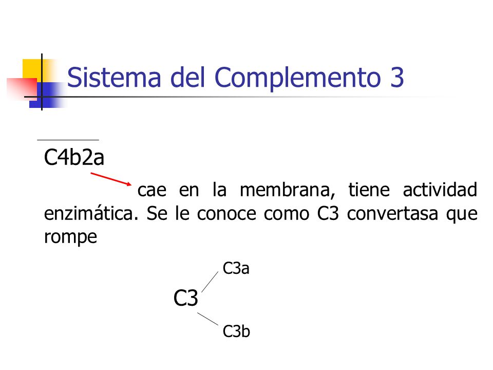 Sistema del Complemento 3