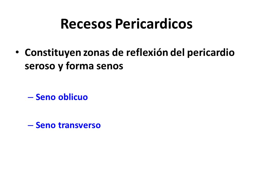 Recesos Pericardicos Constituyen zonas de reflexión del pericardio seroso y forma senos. Seno oblicuo.