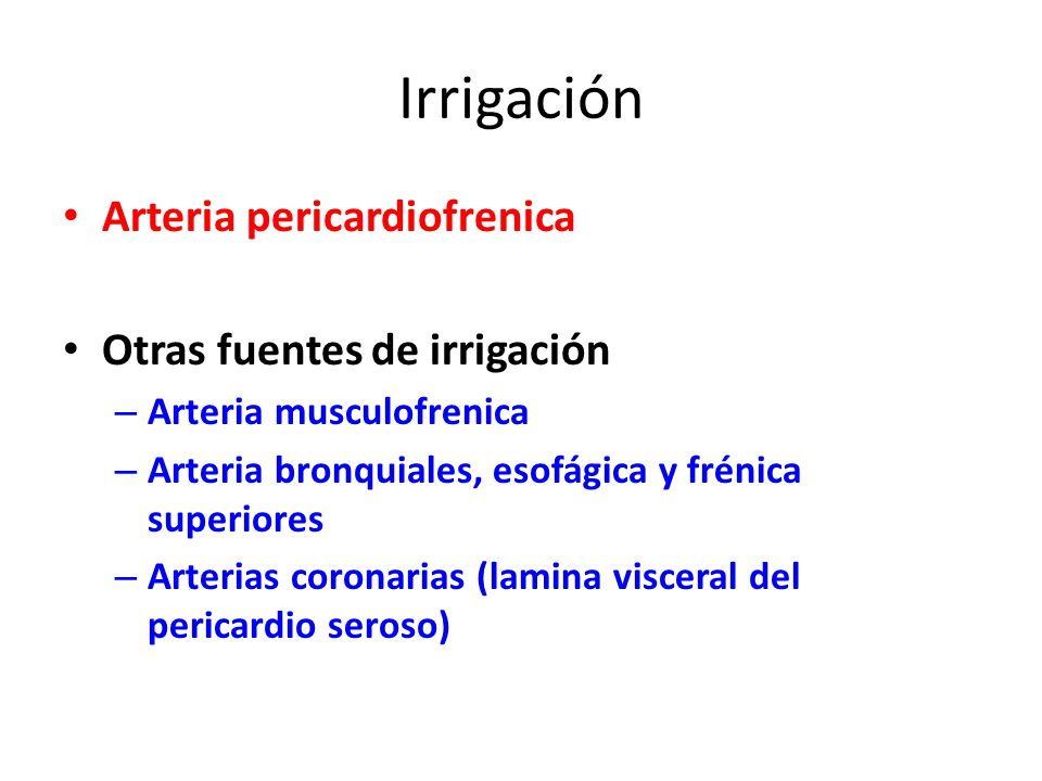 Irrigación Arteria pericardiofrenica Otras fuentes de irrigación