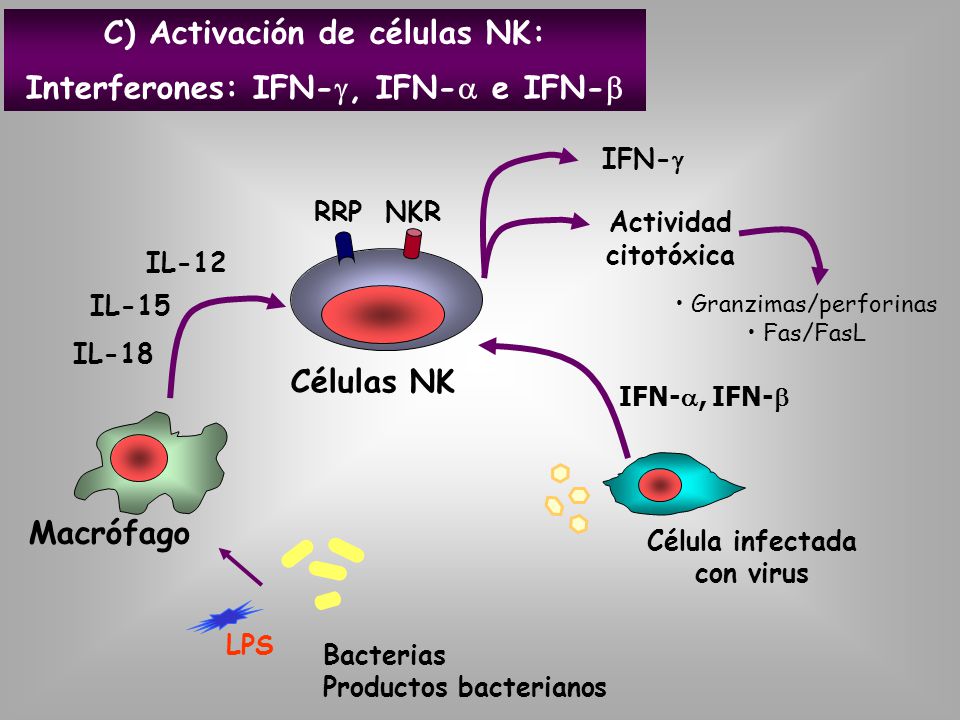 C) Activación de células NK: Interferones: IFN-g, IFN-a e IFN-b