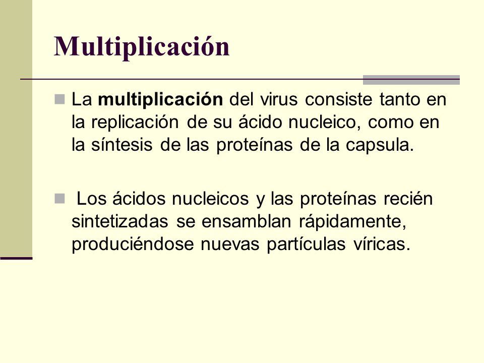 Multiplicación La multiplicación del virus consiste tanto en la replicación de su ácido nucleico, como en la síntesis de las proteínas de la capsula.