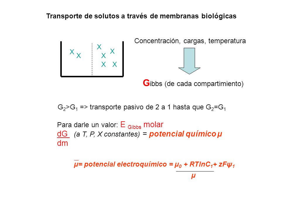 Gibbs (de cada compartimiento)
