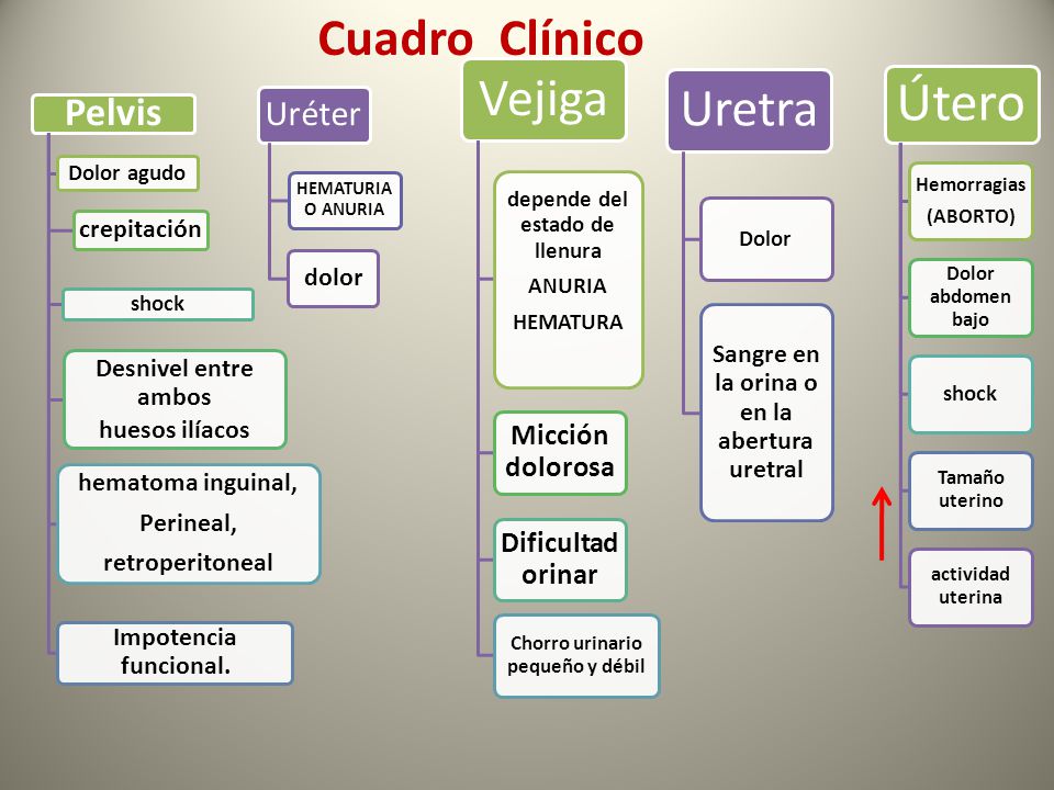 Pelvis Sangre en la orina o en la abertura uretral hematoma inguinal,