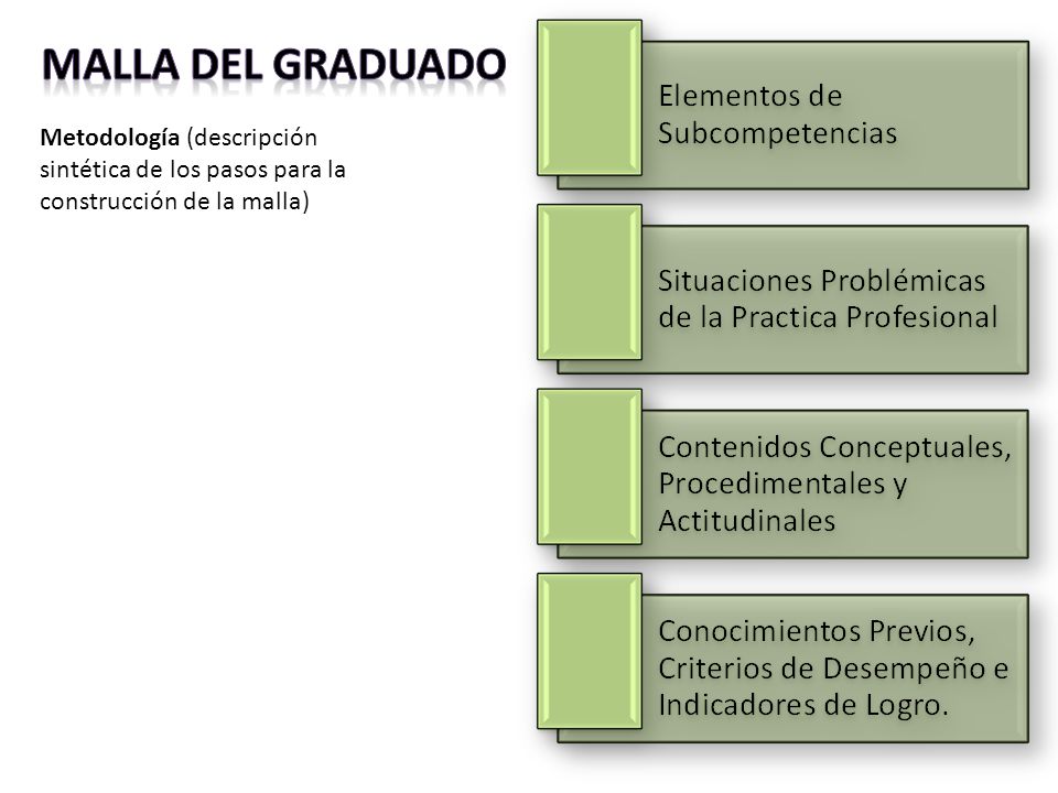 MALLA del graduado Metodología (descripción sintética de los pasos para la construcción de la malla)