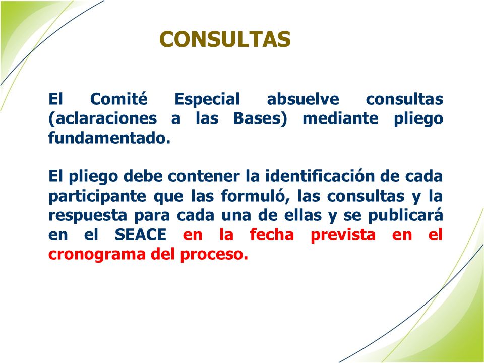 CONSULTAS El Comité Especial absuelve consultas (aclaraciones a las Bases) mediante pliego fundamentado.