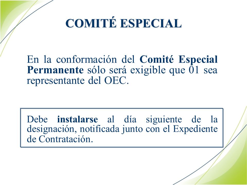 COMITÉ ESPECIAL En la conformación del Comité Especial Permanente sólo será exigible que 01 sea representante del OEC.