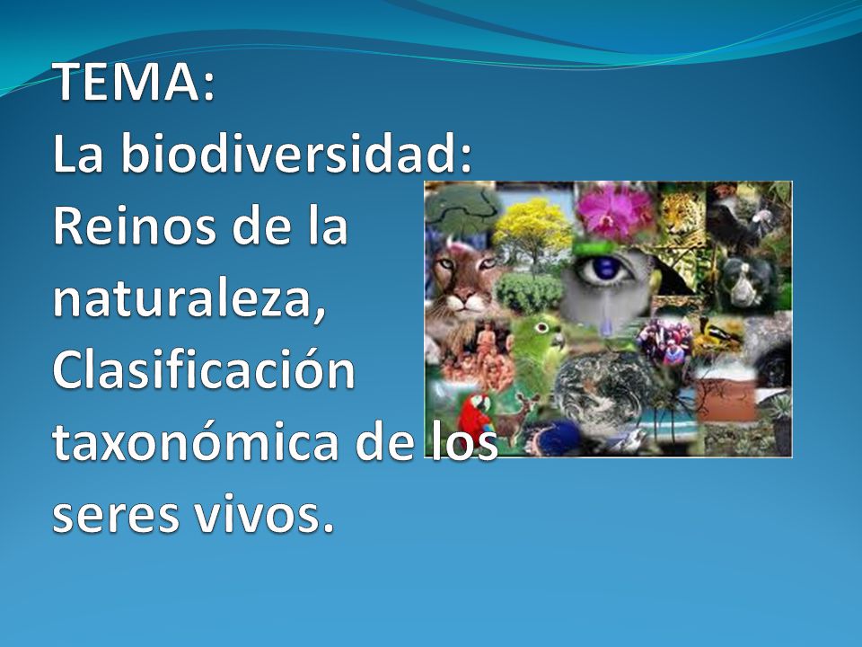 TEMA: La biodiversidad: Reinos de la naturaleza, Clasificación taxonómica de los seres vivos.