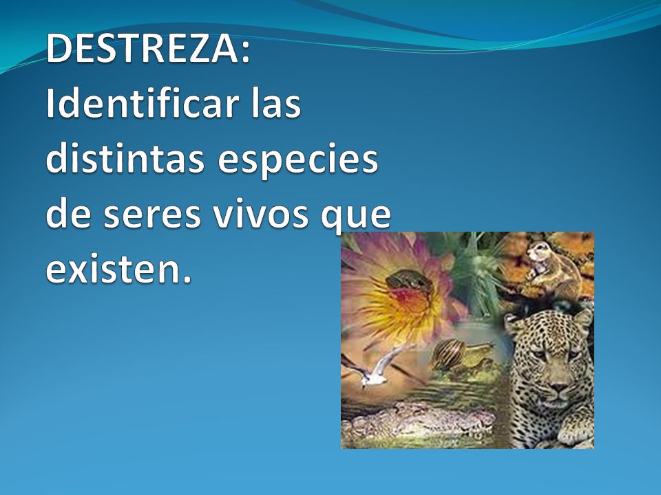 DESTREZA: Identificar las distintas especies de seres vivos que existen.