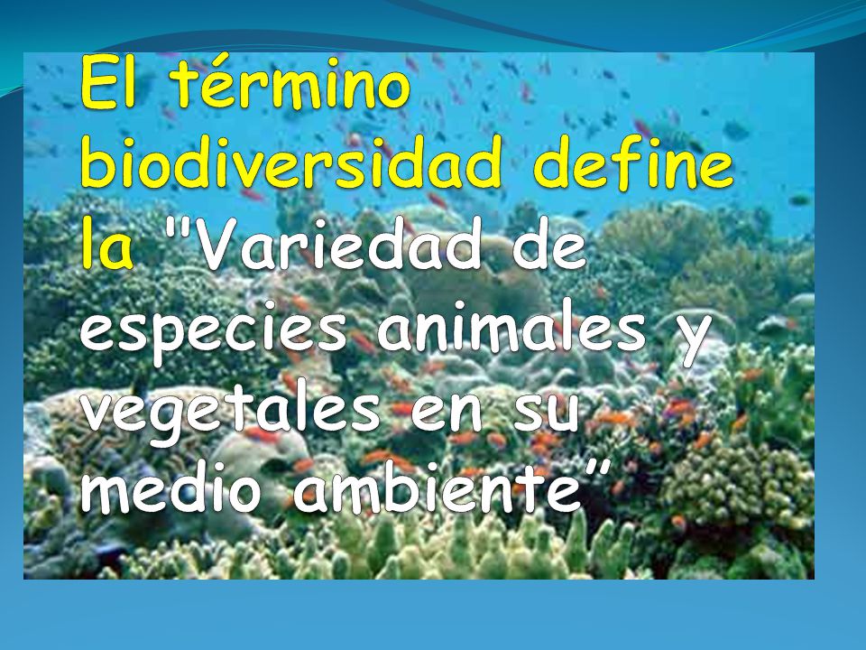 El término biodiversidad define la Variedad de especies animales y vegetales en su medio ambiente