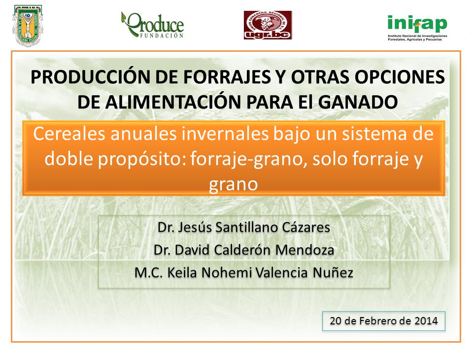 PRODUCCIÓN DE FORRAJES Y OTRAS OPCIONES DE ALIMENTACIÓN PARA El GANADO
