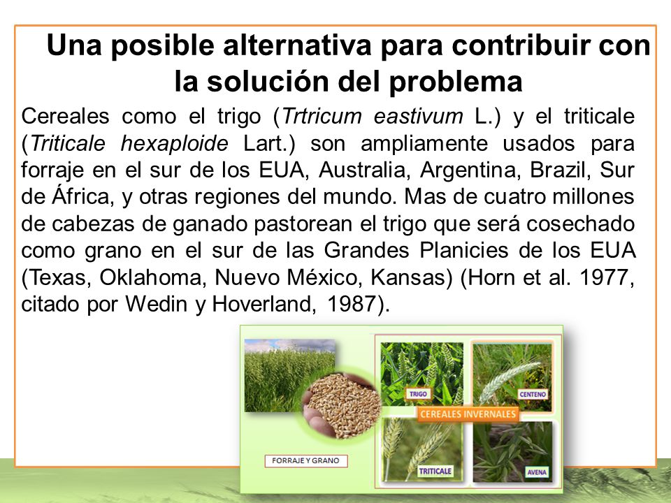 Una posible alternativa para contribuir con la solución del problema