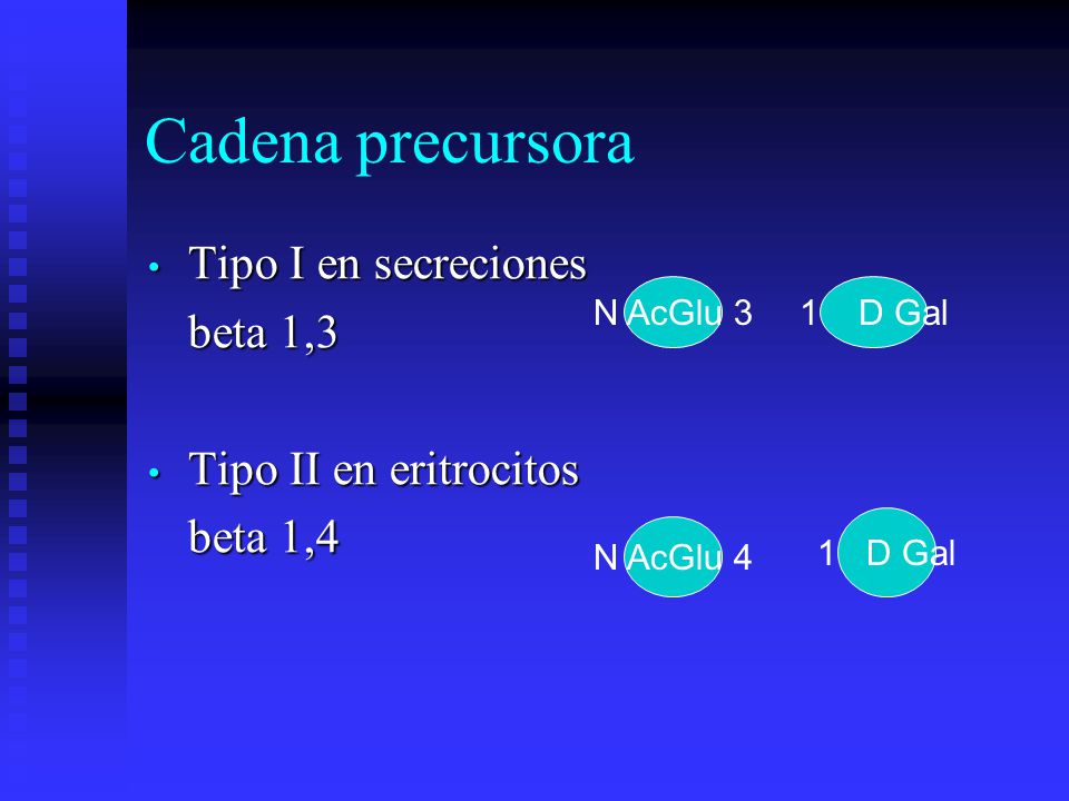 Cadena precursora Tipo I en secreciones beta 1,3