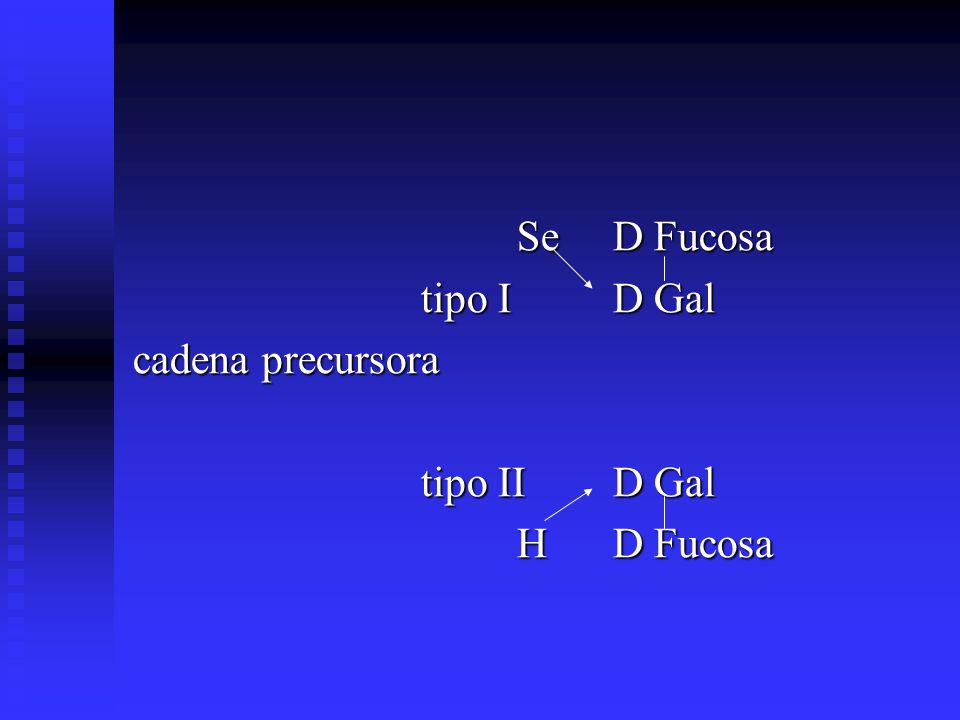 Se D Fucosa tipo I D Gal cadena precursora tipo II D Gal H D Fucosa