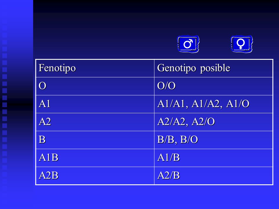 Fenotipo Genotipo posible O O/O A1 A1/A1, A1/A2, A1/O A2 A2/A2, A2/O B B/B, B/O A1B A1/B A2B A2/B