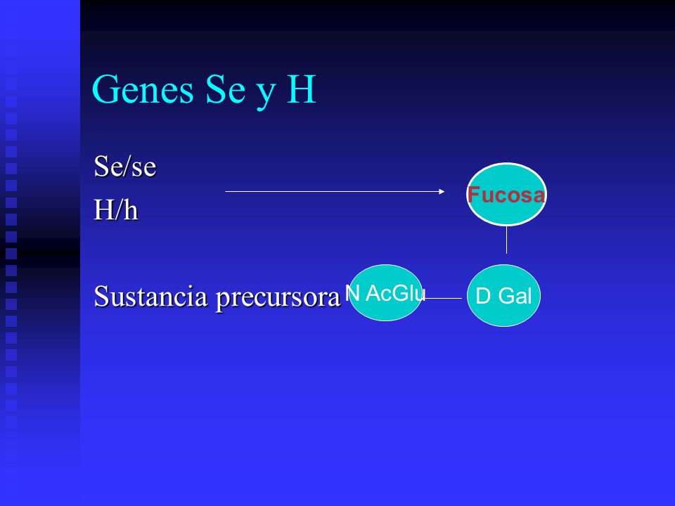 Genes Se y H Se/se H/h Sustancia precursora Fucosa N AcGlu D Gal
