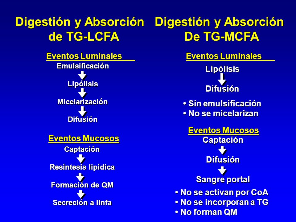 Digestión y Absorción de TG-LCFA Digestión y Absorción De TG-MCFA