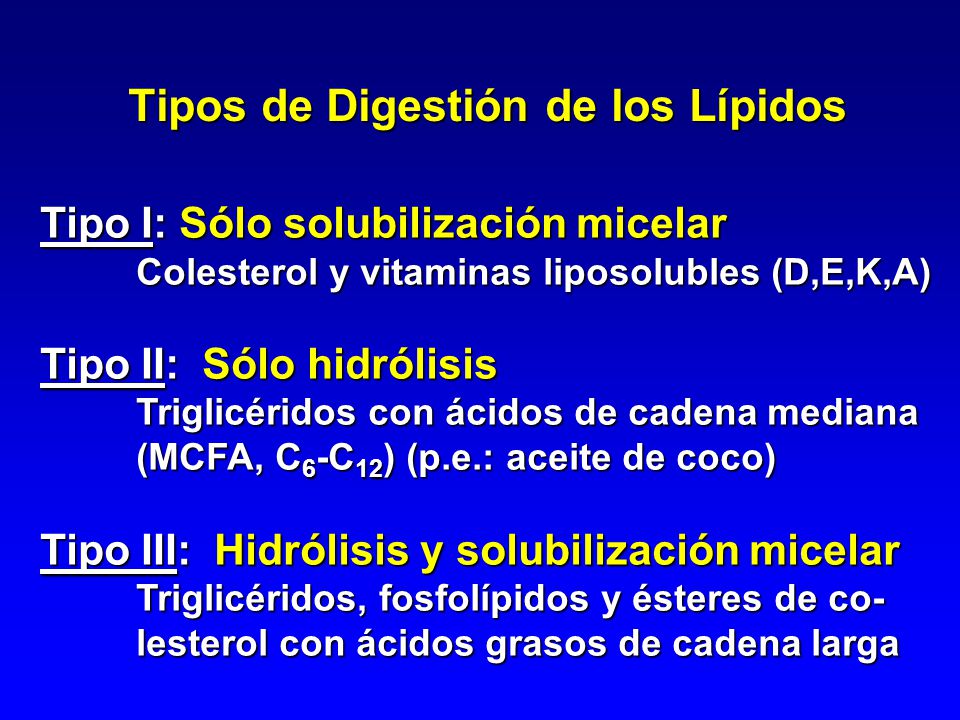Tipos de Digestión de los Lípidos